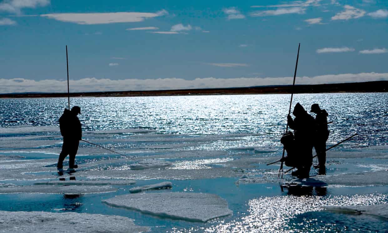 App helps Inuit hunters navigate thinning sea ice in Canadian Arctic