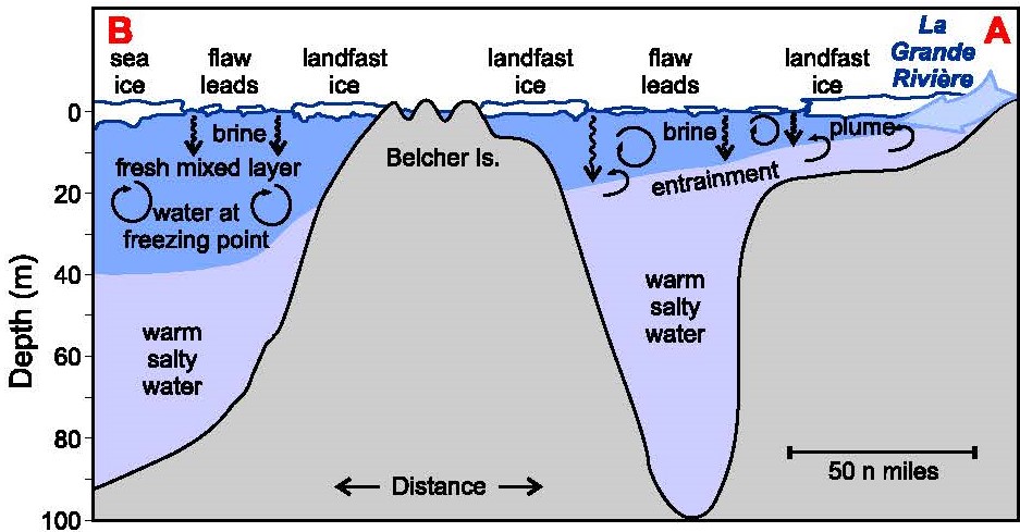 Role of River Runoff and Sea Ice Brine Rejection in Controlling Stratification Throughout Winter in Southeast Hudson Bay