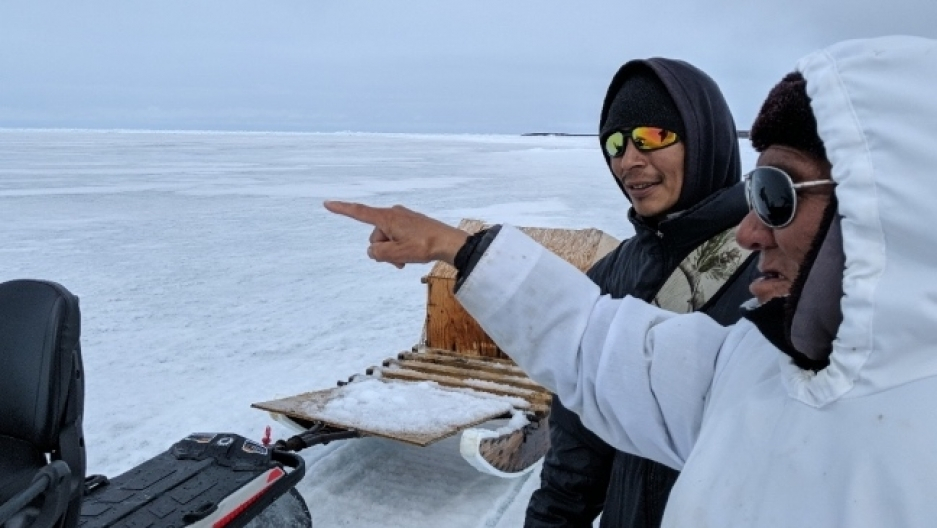 New app helps Inuit adapt to changing climate: ‘It’s time for the harpoon and computer to work together’