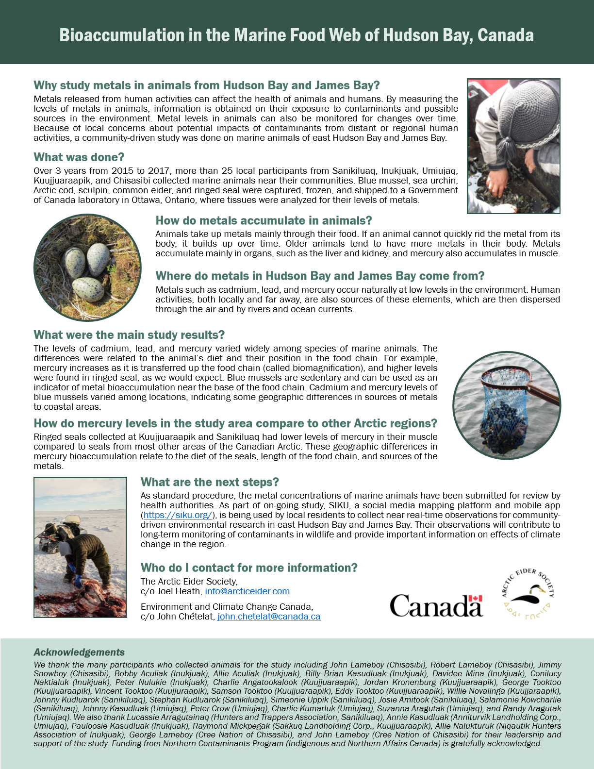Bioaccumulation in the Marine Food Web of Hudson Bay, Canada