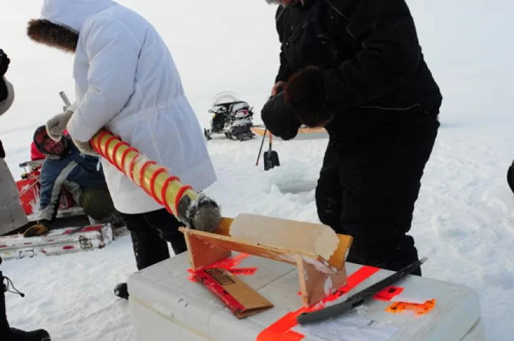 Back to work in the Canadian Arctic: winter 2014 research update