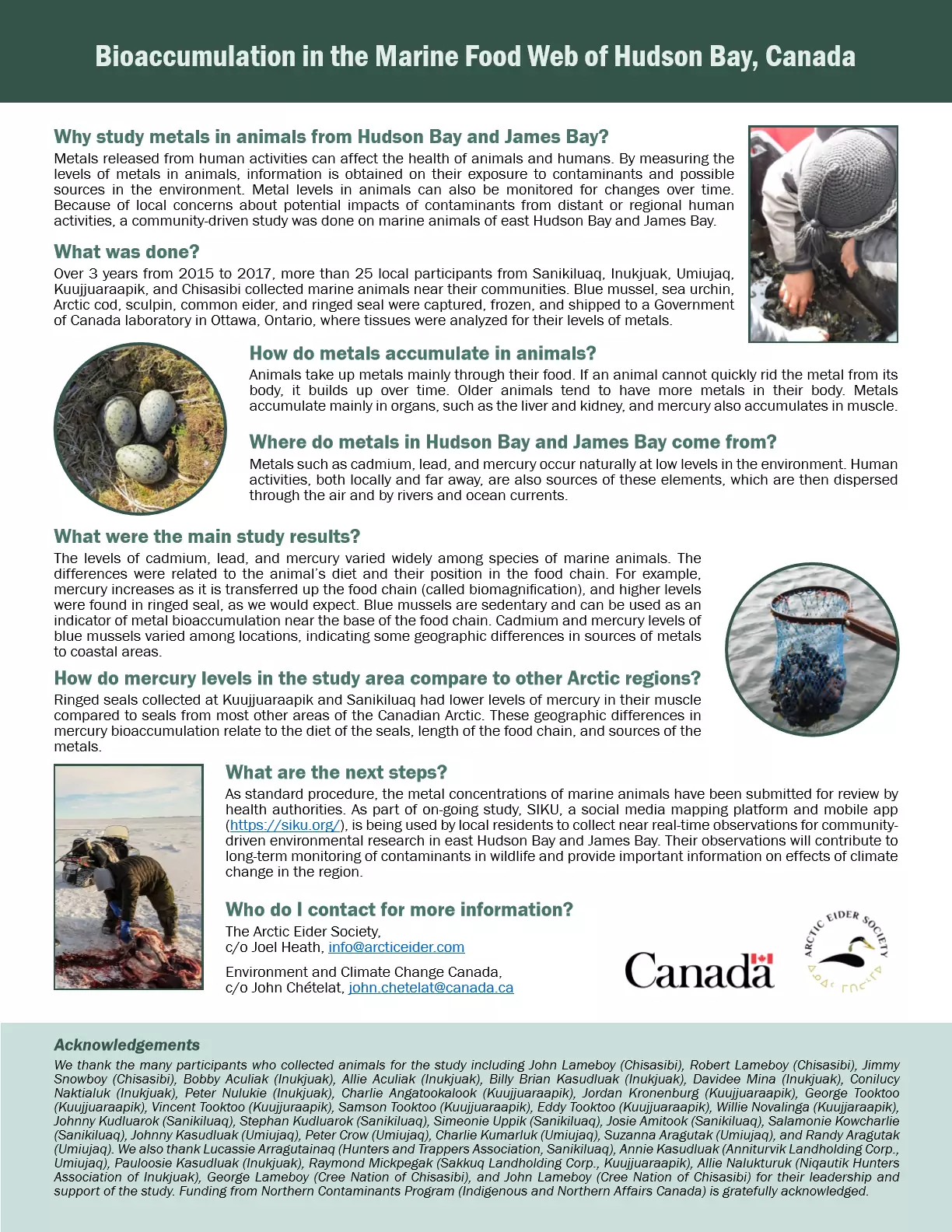 Bioaccumulation in the Marine Food Web of Hudson Bay, Canada