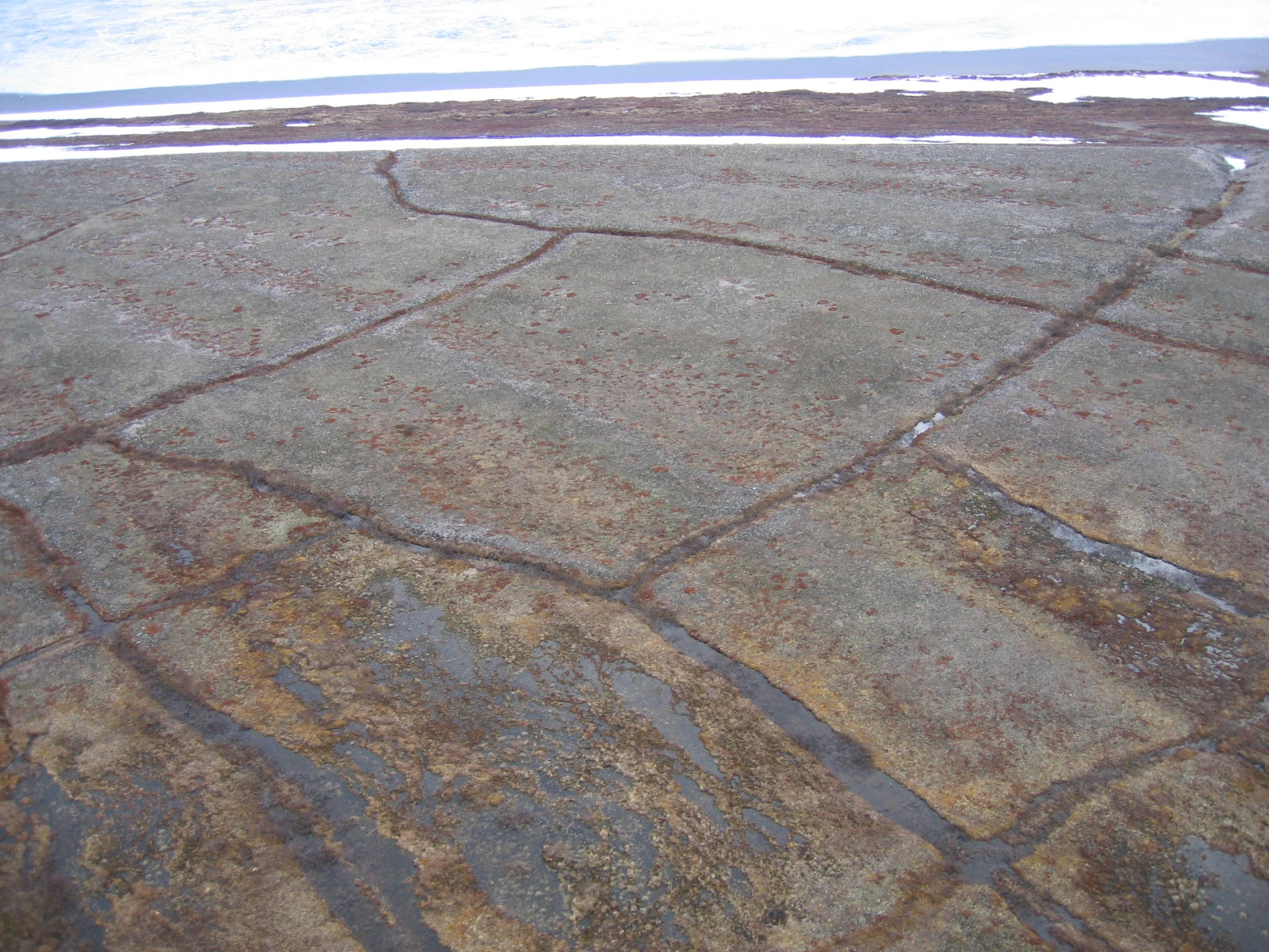Ice Wedge Polygons