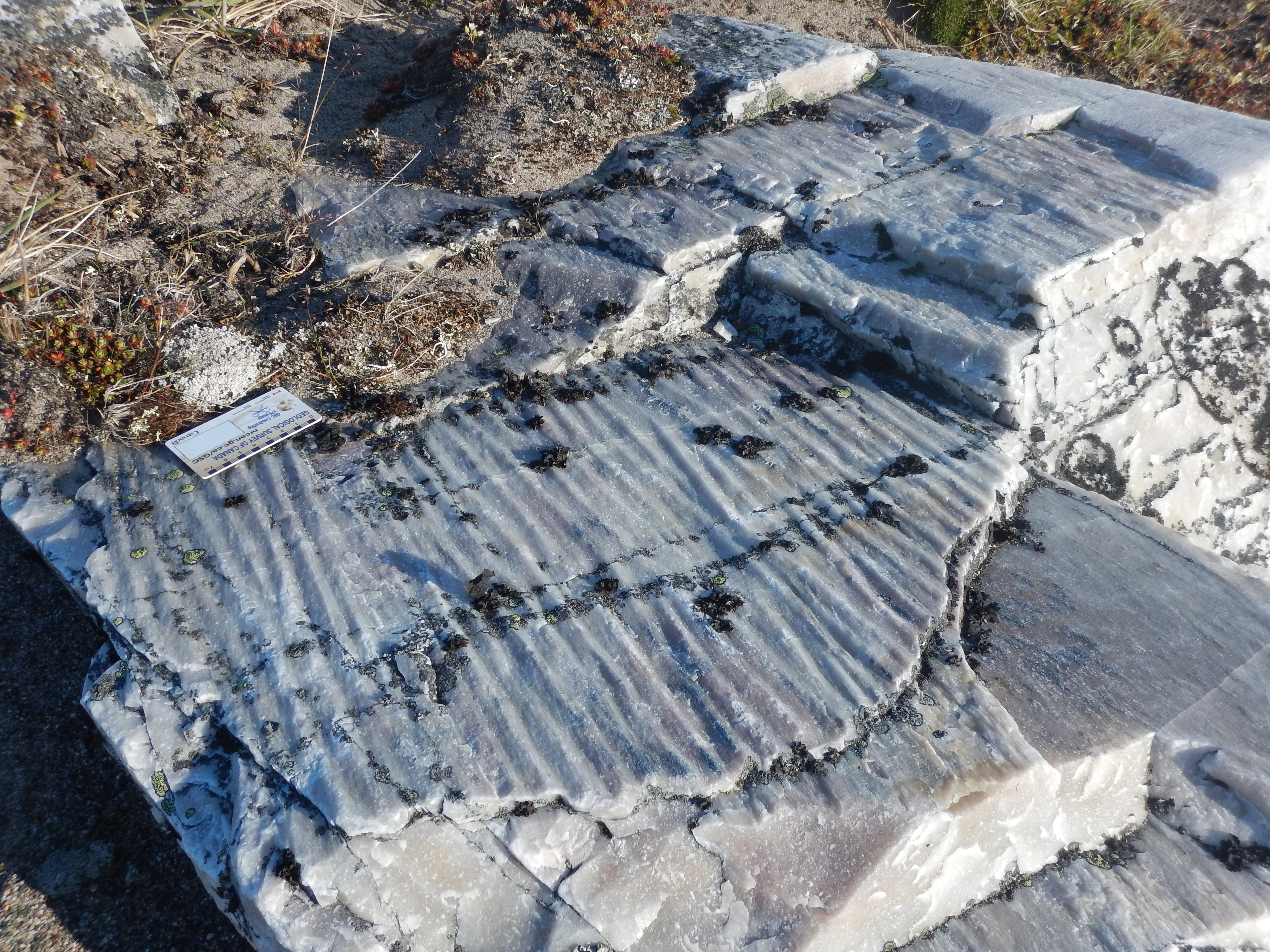 Quartzite