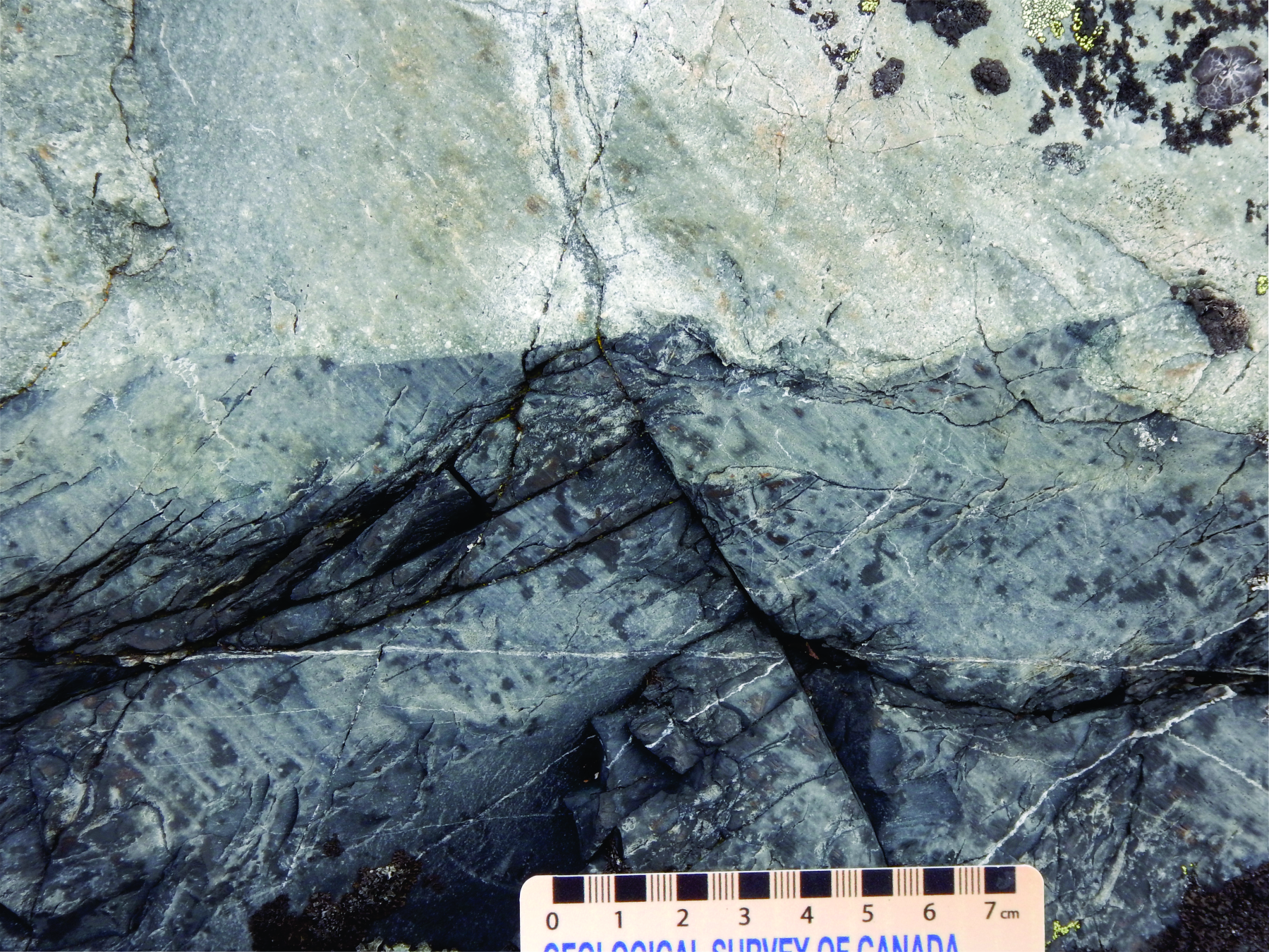 Siltstone