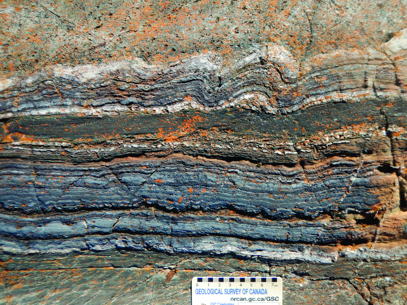 Iron Formation