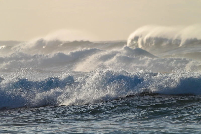 Whitecaps