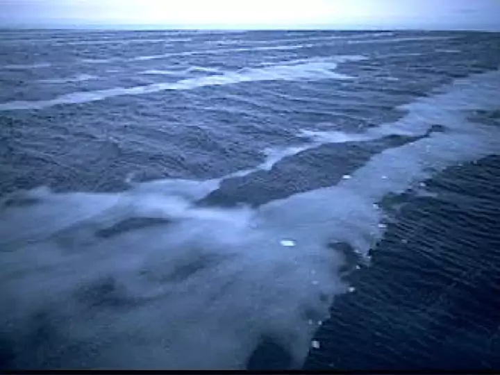 quvviqquaq - grease ice