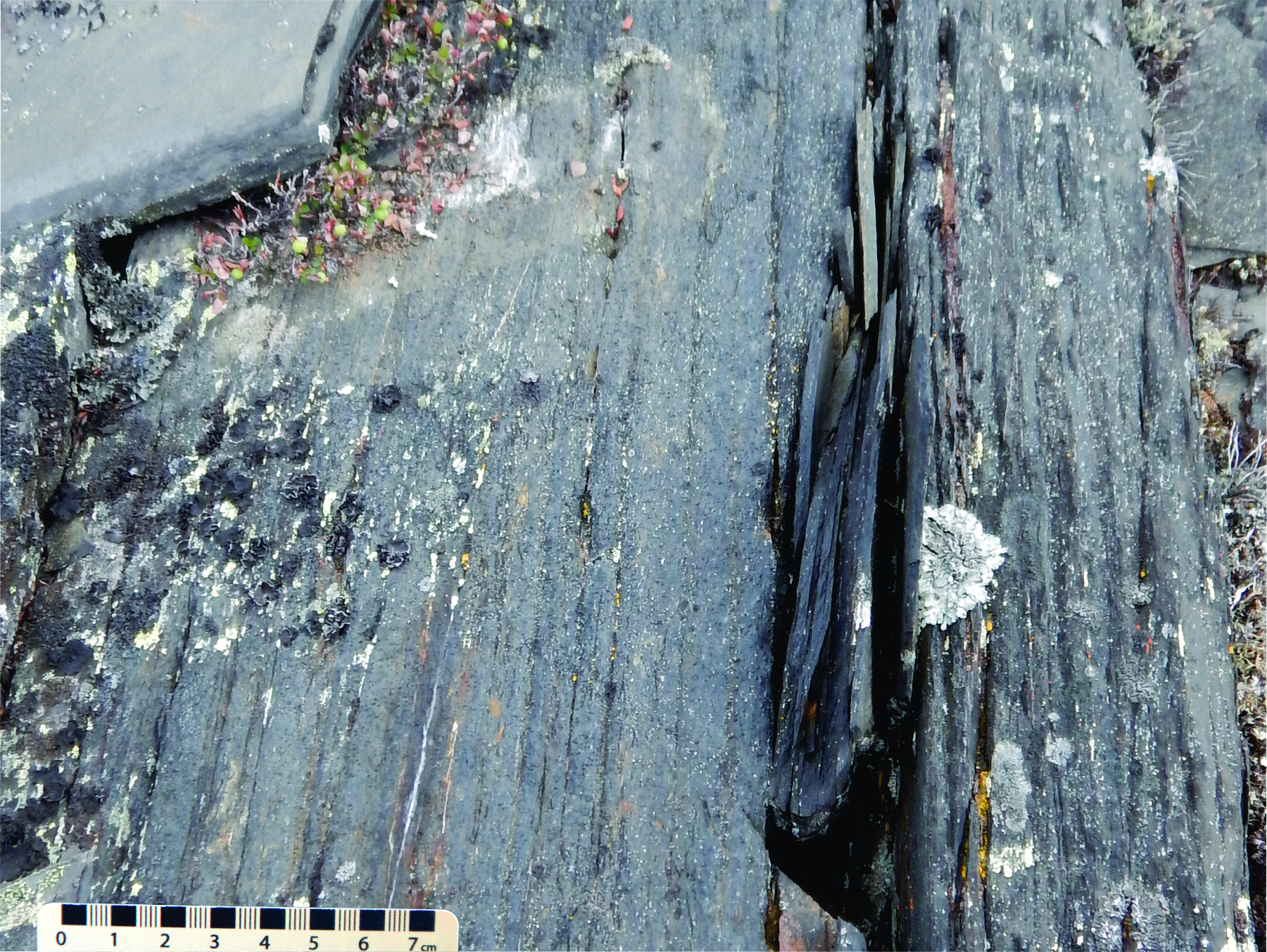 Mudstone