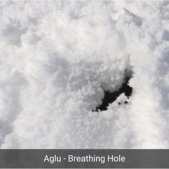 Aglu - Breathing Hole