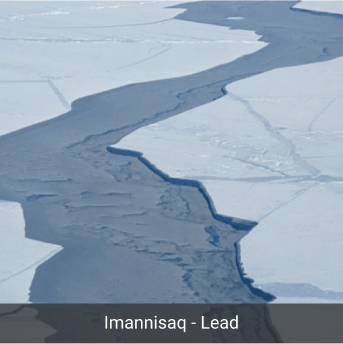 Imannisaq - Lead
